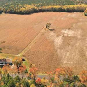 Photo #3 of SOLD property in 3077 Carolina Road, Suffolk, VA 22.0 acres