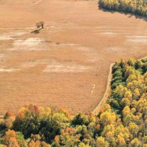 Photo #5 of SOLD property in 3077 Carolina Road, Suffolk, VA 22.0 acres