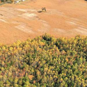 Photo #6 of SOLD property in 3077 Carolina Road, Suffolk, VA 22.0 acres