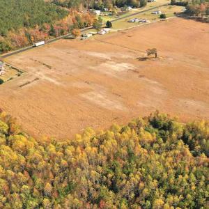 Photo #7 of SOLD property in 3077 Carolina Road, Suffolk, VA 22.0 acres