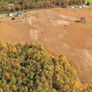 Photo #8 of SOLD property in 3077 Carolina Road, Suffolk, VA 22.0 acres