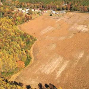 Photo #10 of SOLD property in 3077 Carolina Road, Suffolk, VA 22.0 acres