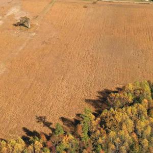 Photo #11 of SOLD property in 3077 Carolina Road, Suffolk, VA 22.0 acres