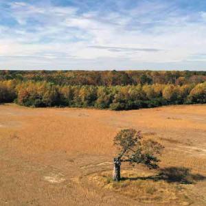 Photo #12 of SOLD property in 3077 Carolina Road, Suffolk, VA 22.0 acres