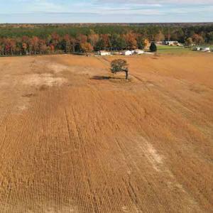 Photo #14 of SOLD property in 3077 Carolina Road, Suffolk, VA 22.0 acres