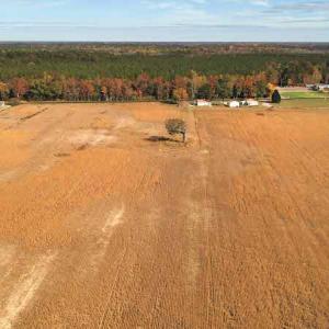 Photo #15 of SOLD property in 3077 Carolina Road, Suffolk, VA 22.0 acres