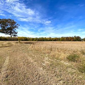 Photo #17 of SOLD property in 3077 Carolina Road, Suffolk, VA 22.0 acres