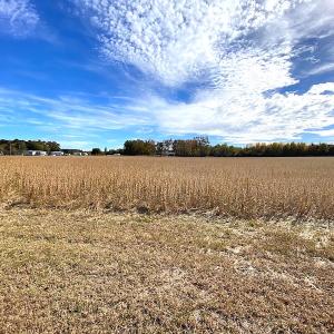 Photo #18 of SOLD property in 3077 Carolina Road, Suffolk, VA 22.0 acres