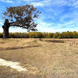 Photo #19 of SOLD property in 3077 Carolina Road, Suffolk, VA 22.0 acres