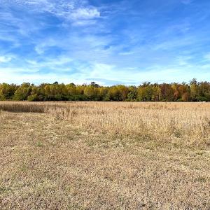 Photo #20 of SOLD property in 3077 Carolina Road, Suffolk, VA 22.0 acres