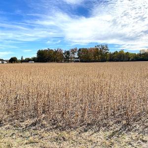 Photo #21 of SOLD property in 3077 Carolina Road, Suffolk, VA 22.0 acres