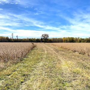 Photo #22 of SOLD property in 3077 Carolina Road, Suffolk, VA 22.0 acres