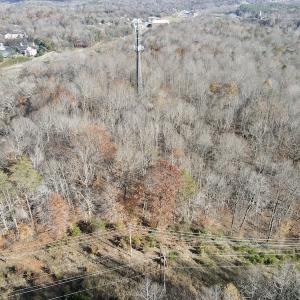 Photo #14 of 644 Blackberry Road, Bassett, VA 115.4 acres