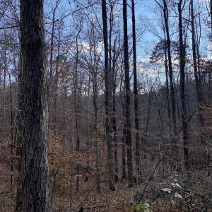 Photo #28 of 644 Blackberry Road, Bassett, VA 115.4 acres