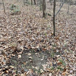 Photo #29 of 644 Blackberry Road, Bassett, VA 115.4 acres