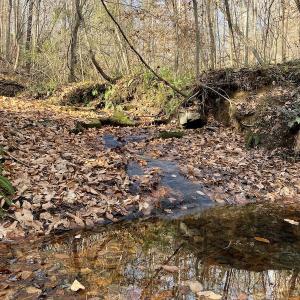 Photo #34 of 644 Blackberry Road, Bassett, VA 115.4 acres