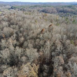 Photo #6 of 644 Blackberry Road, Bassett, VA 115.4 acres