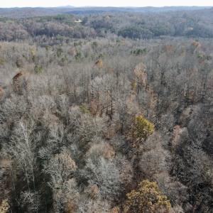 Photo #7 of 644 Blackberry Road, Bassett, VA 115.4 acres