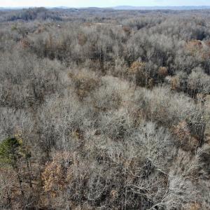 Photo #8 of 644 Blackberry Road, Bassett, VA 115.4 acres