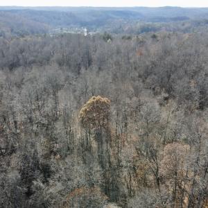 Photo #9 of 644 Blackberry Road, Bassett, VA 115.4 acres