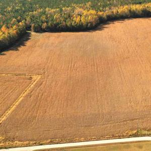 Photo #4 of SOLD property in 3081 Carolina Road, Suffolk, VA 9.6 acres