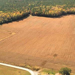 Photo #5 of SOLD property in 3081 Carolina Road, Suffolk, VA 9.6 acres