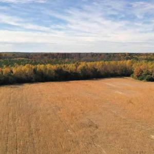Photo #2 of SOLD property in 3081 Carolina Road, Suffolk, VA 9.6 acres