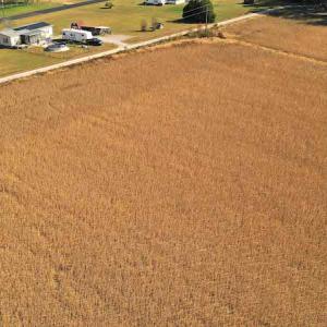 Photo #7 of SOLD property in 3081 Carolina Road, Suffolk, VA 9.6 acres