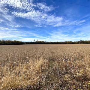 Photo #10 of SOLD property in 3081 Carolina Road, Suffolk, VA 9.6 acres