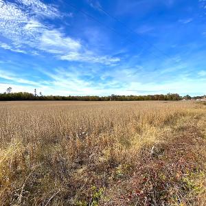 Photo #13 of SOLD property in 3081 Carolina Road, Suffolk, VA 9.6 acres