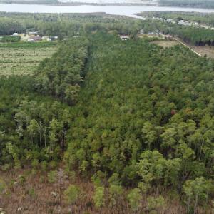 Photo #5 of NC 304 / 33 Hwy, Hobucken, NC 9.8 acres