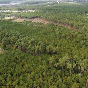 Photo #6 of NC 304 / 33 Hwy, Hobucken, NC 9.8 acres