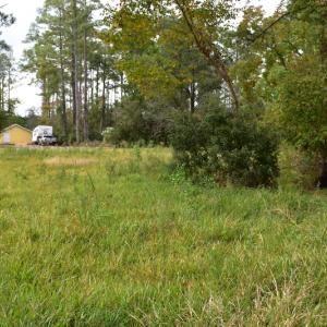 Photo #18 of NC 304 / 33 Hwy, Hobucken, NC 9.8 acres