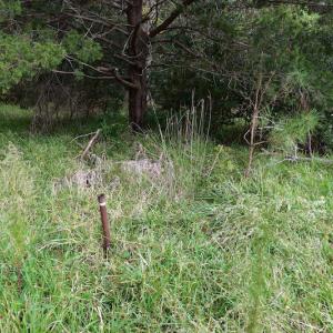 Photo #19 of NC 304 / 33 Hwy, Hobucken, NC 9.8 acres