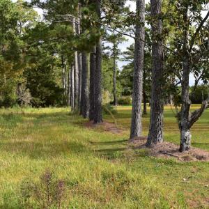 Photo #12 of NC 304 / 33 Hwy, Hobucken, NC 9.8 acres