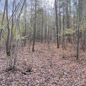 Photo #28 of 1512 Cedar Creek Road, Fayetteville, NC 32.0 acres