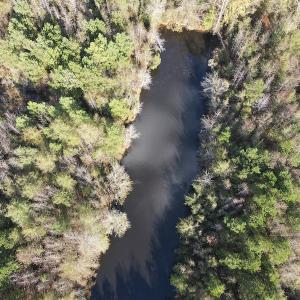 Photo #15 of 1512 Cedar Creek Road, Fayetteville, NC 32.0 acres