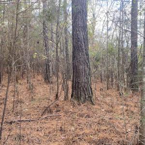 Photo #31 of 1512 Cedar Creek Road, Fayetteville, NC 32.0 acres