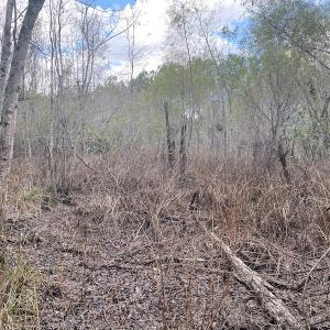 Photo #33 of 1512 Cedar Creek Road, Fayetteville, NC 32.0 acres
