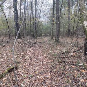 Photo #34 of 1512 Cedar Creek Road, Fayetteville, NC 32.0 acres