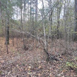 Photo #35 of 1512 Cedar Creek Road, Fayetteville, NC 32.0 acres