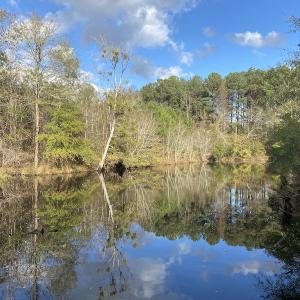 Photo #52 of 1512 Cedar Creek Road, Fayetteville, NC 32.0 acres