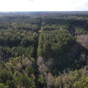 Photo #3 of 1512 Cedar Creek Road, Fayetteville, NC 32.0 acres