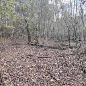 Photo #37 of 1512 Cedar Creek Road, Fayetteville, NC 32.0 acres