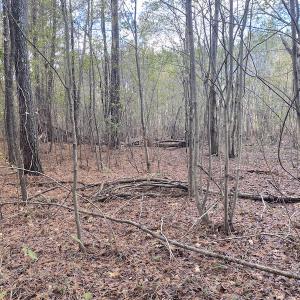 Photo #40 of 1512 Cedar Creek Road, Fayetteville, NC 32.0 acres