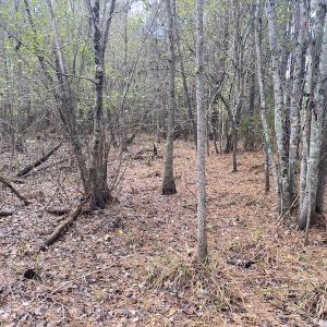 Photo #41 of 1512 Cedar Creek Road, Fayetteville, NC 32.0 acres