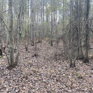 Photo #43 of 1512 Cedar Creek Road, Fayetteville, NC 32.0 acres