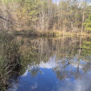 Photo #51 of 1512 Cedar Creek Road, Fayetteville, NC 32.0 acres