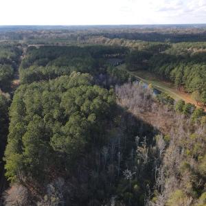Photo #4 of 1512 Cedar Creek Road, Fayetteville, NC 32.0 acres