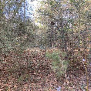 Photo #46 of 1512 Cedar Creek Road, Fayetteville, NC 32.0 acres